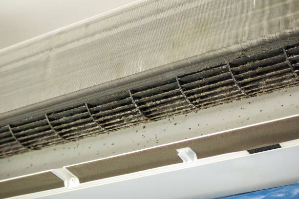 Best Ventilation Cleaning Services  in Liverpool, NY